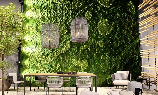 Duidelijk maken Betrouwbaar Wirwar Groene planten tussen de design meubelen - Yataz nieuws & blog - YATAZ